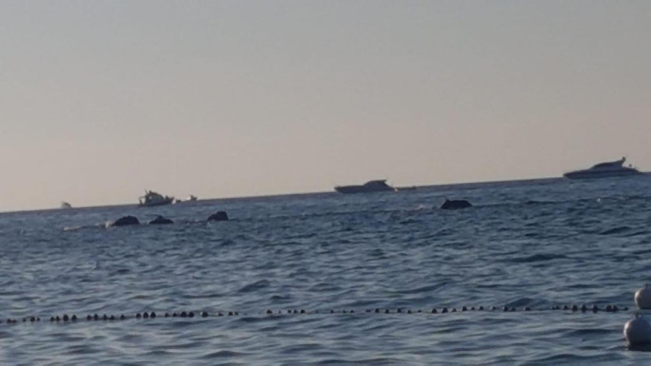 Riva Destra Ischia